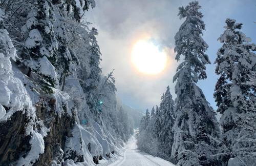 Gite des Rosiers - Foto 36