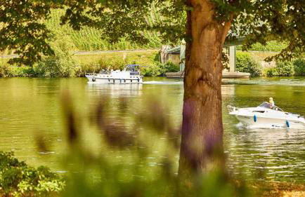 NEU!!! Moselbleibe Uferallee - Foto 14