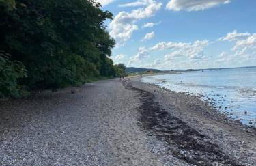 Landhaus Oscar (150m zum Strand) - Foto 36