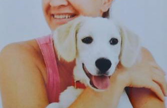 nikola's house - Foto 36