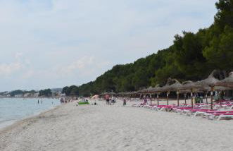 Carrasqueta - Foto 76