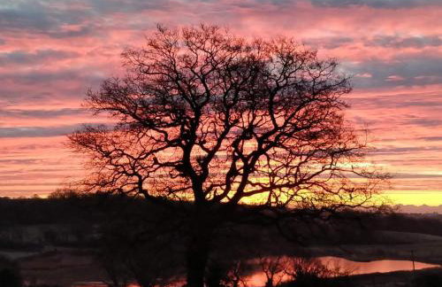 Hayfield Haven-Uk40691 - Foto 19