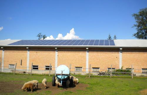 Agriturismo La Dimora Del Contadino - Photo 49