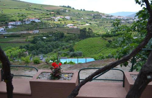 Quinta do Santo no Douro - Casa T3 - Foto 20