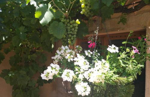 Lou Bagnou Mi-Clos - Foto 30