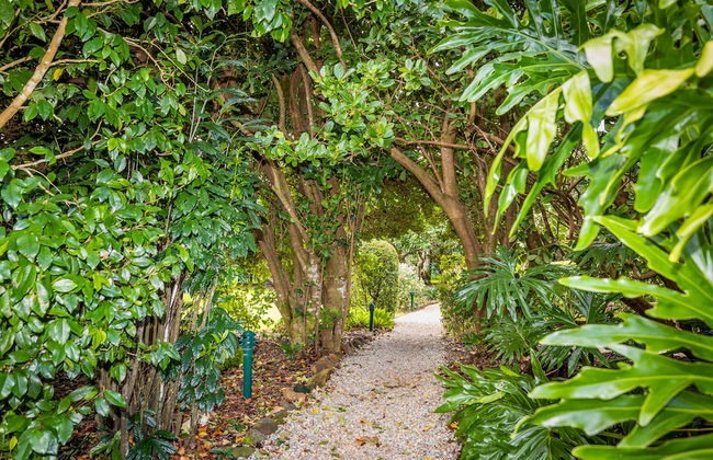 Camelot Boutique Accommodations - Foto 24