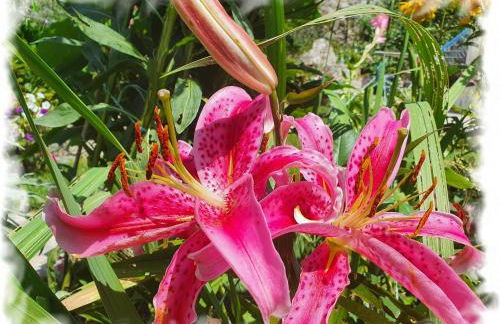 Casa Vacanze Family - Foto 31