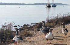 Mike'sPlace - Foto 56