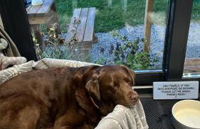 Luxury Shepherd Hut in the Peak District - Foto 51