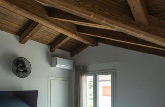 Fiori di Cardo - Agrimare - Foto 49