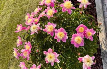 Studio indépendant à Roissy-en-France avec terrasse, proche Aéroport CDG - Foto 17