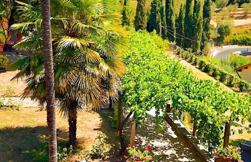 L'oasi del Borgo con Biliardo e Camino nelle Balze - Foto 32