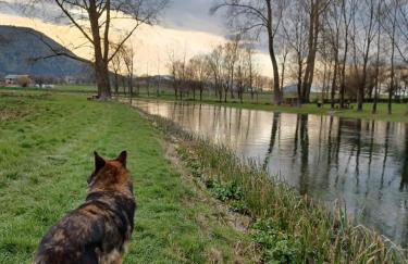 Apartman Kristina - Photo 15