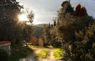 Agriturismo Borgo La Casetta - Foto 59