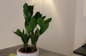 Aparthotel Layblick - Foto 38