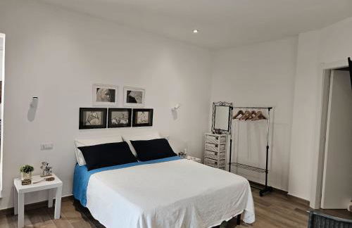 Rose e fiori - Foto 6