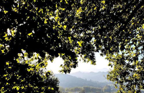 PequeñoCabárceno - Foto 52