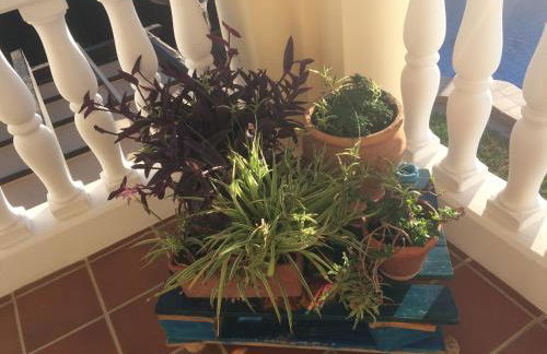 Bonita casa en Barrio de Monachil - Foto 20