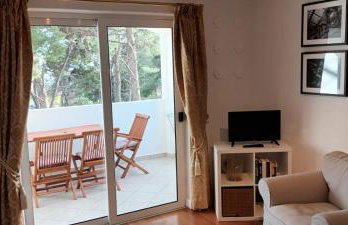 villa petar apartment a4 with terrace - Foto 11