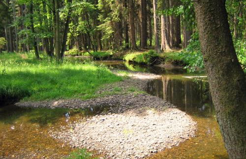 Ferienhaus Pöttgen - Foto 3