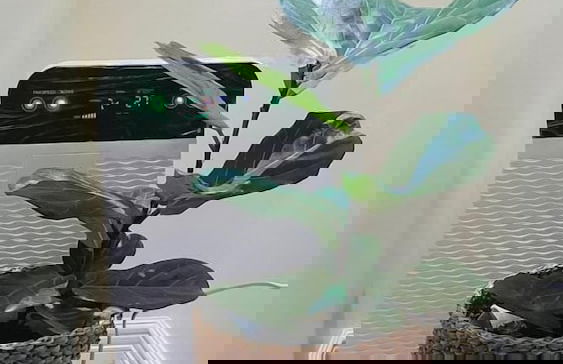 Overlooking - Foto 16