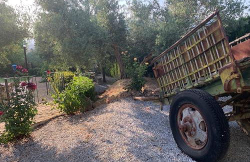 Casas Rurales Cazorla-Alcón - Foto 27