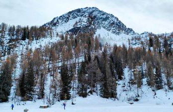 Sweet Home Gardenia - Foto 50