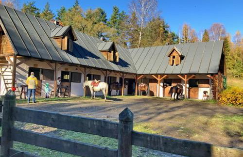 Domek wakacyjny Koliba - Foto 21