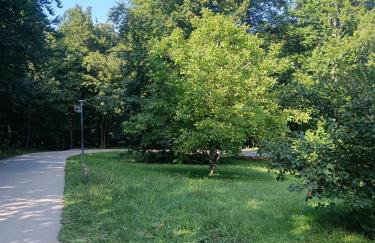 Entrance 2 Stay - Foto 42