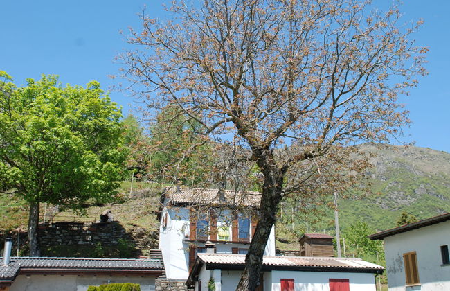 Baita Pimpisnino - Foto 25