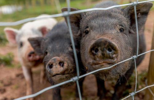 3 Bed in Worcester oc-cc082 - Foto 22