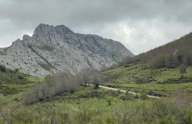 Casa Rural MONTE ROBLO - Foto 65