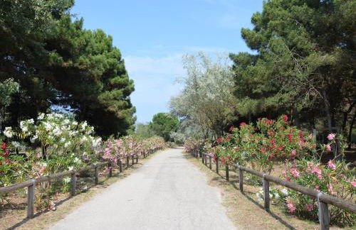 Comfy Stay by Po Delta Park - Foto 80