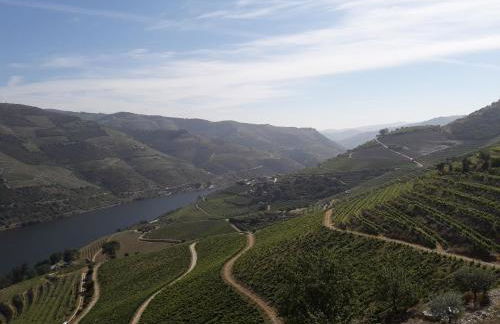 Casa do Feitor - Douro - Quinta da Cabrida - Foto 70