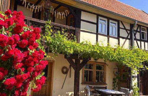 Fachwerkhaus mit rustikalem Weinkeller und Garten, ganze Unterkunft, gute Lage - Photo 1