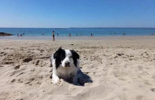 Vue mer panoramique, plage à pied, piscine chauffée - Photo 24