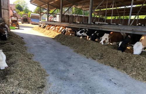 Ferien auf dem Eliesenhof - Foto 26