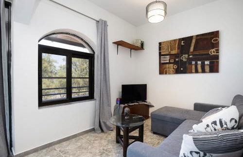 Pelekanos Beachfront Apartment - Foto 13