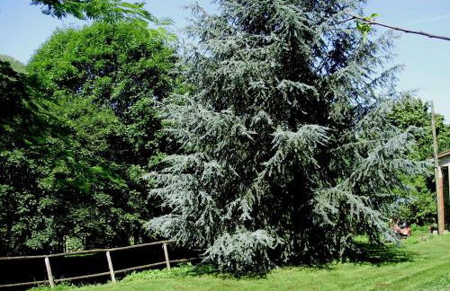 Tenuta Montelaura - Foto 54