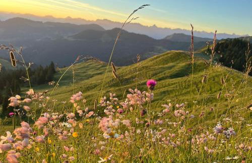 Gipfel Stuben - Foto 27