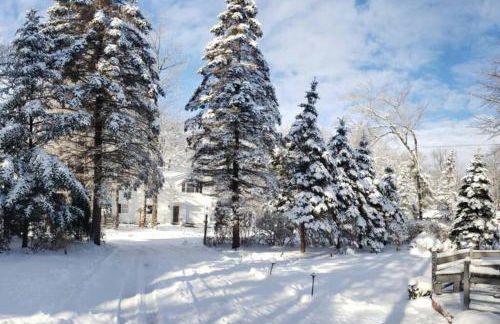 Paradise in heart of Poconos FaSt InTeRnEt Close to All Attractions - Foto 31