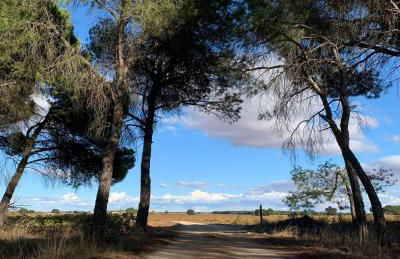 Casa Rural La Navarra - Foto 26