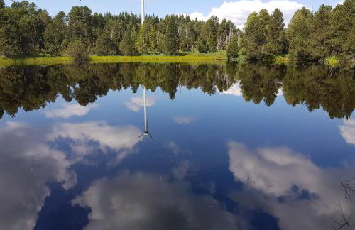 Ferienwohnungen Schönwald - Foto 7