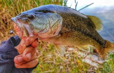 Apartmani Galić - Foto 27