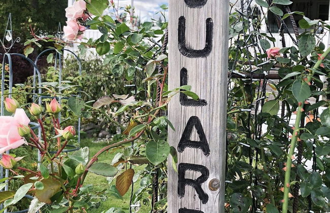 7 Person Holiday Home in Nassjo - Foto 26