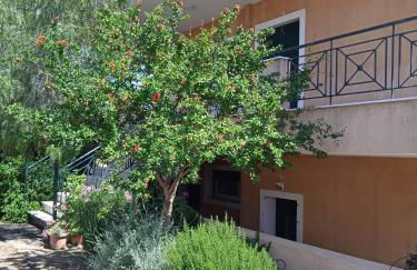 Paulina's House - Foto 19