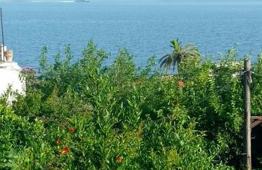 Apartments Petković - Foto 36