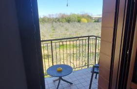 Agriturismo Olistella - Photo 47