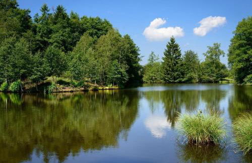 Gîte isolé au cœur des Vosges, parfait pour randonnées - FR-1-583-430 - Foto 9