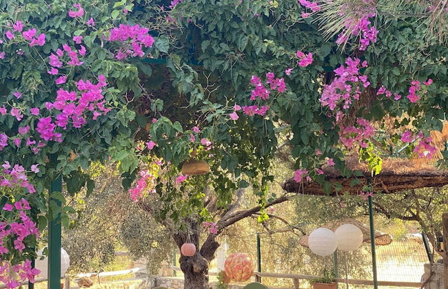 Belfin Apart - Photo 1